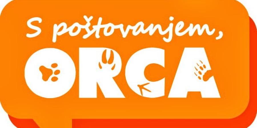 ORCA_logo.jpg